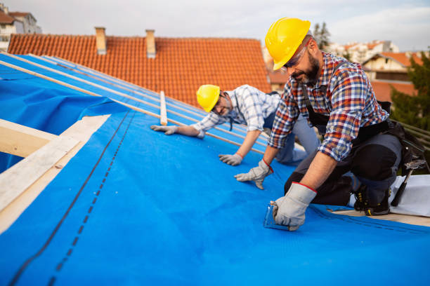 Best Storm Damage Roof Repair  in Danbury, CT
